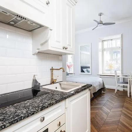 Silverton Studio Deluxe Renovated City Center Warsaw